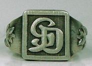 Divisionsring Panzerjger Grodeutschland Standard 21 mm